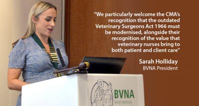 BVNA and BSAVA commend CMA's VN remedy